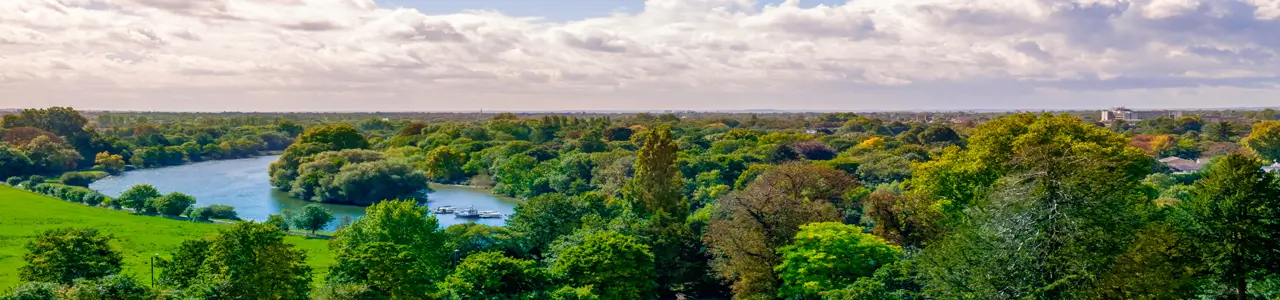 The Thames river travelling through Twickenham and Richmond